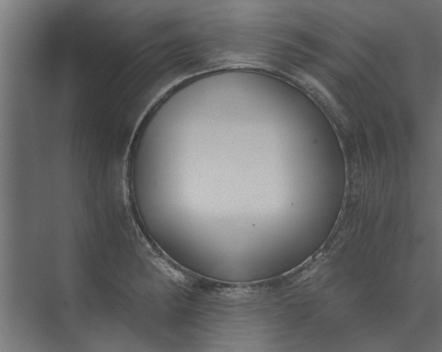 X0000073921182200608251541