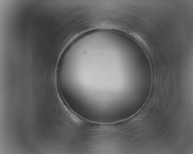 X0000073921183200608251541