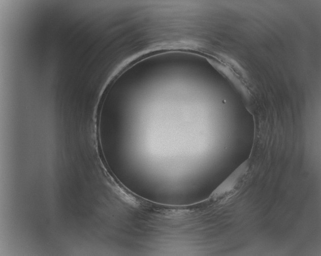 X0000073921184200608251541