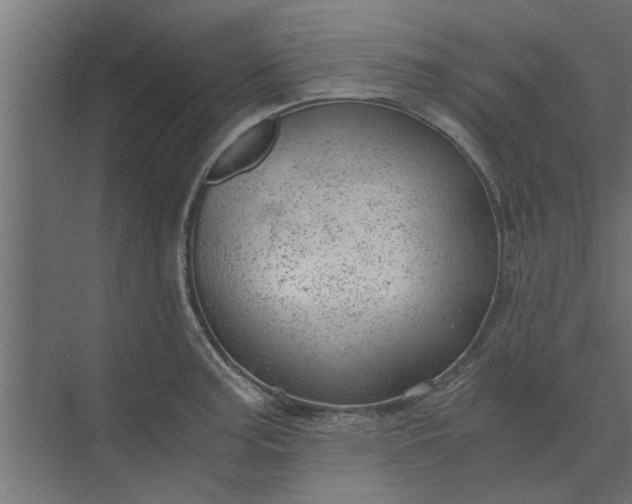 X0000073921187200608251541