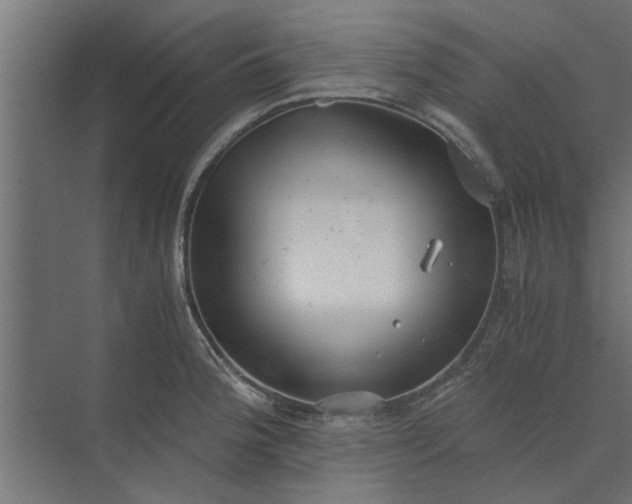 X0000073921188200608251541