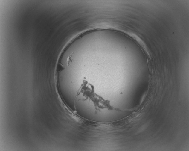 X0000073921191200608251541