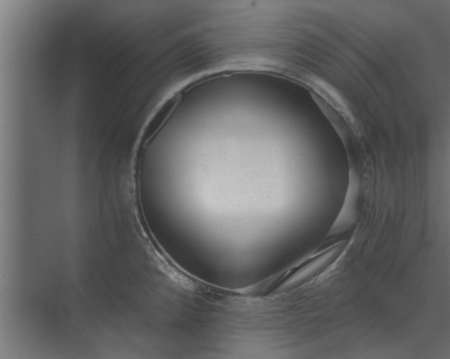 X0000073921192200608251541