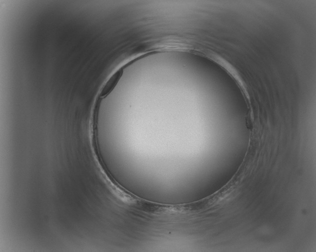 X0000073921195200608251541