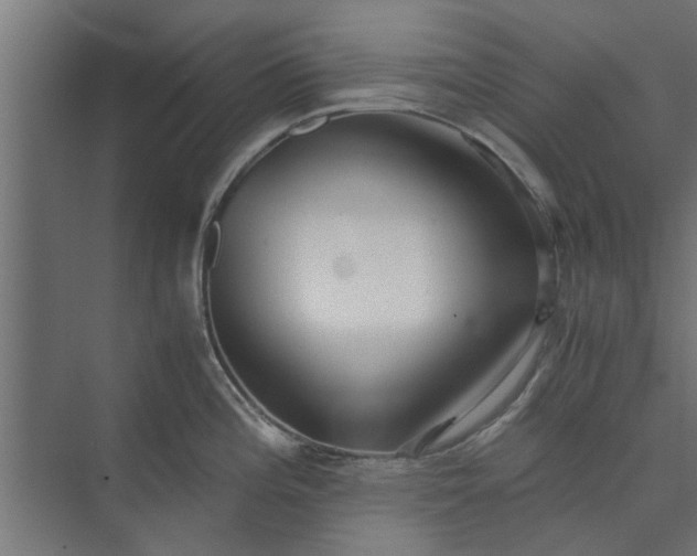 X0000073921196200608251541