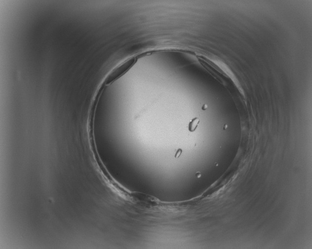 X0000073921197200608251541