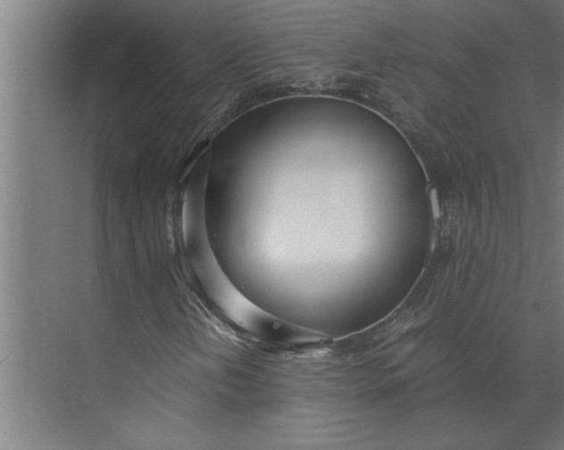 X0000073921202200608251540