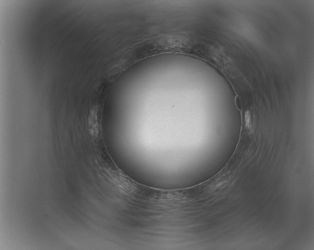 X0000073921203200608251540