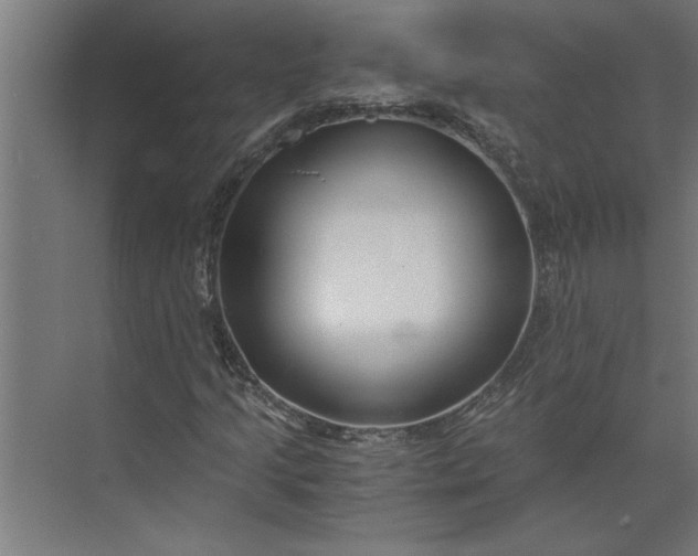 X0000073921205200608251540