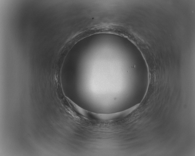 X0000073921206200608251540