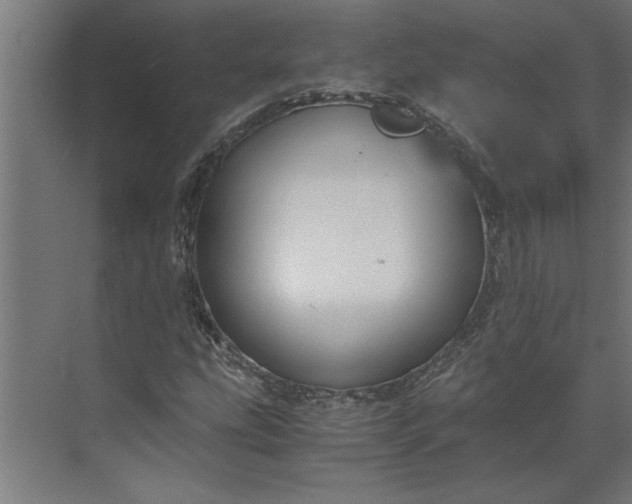 X0000073921207200608251540