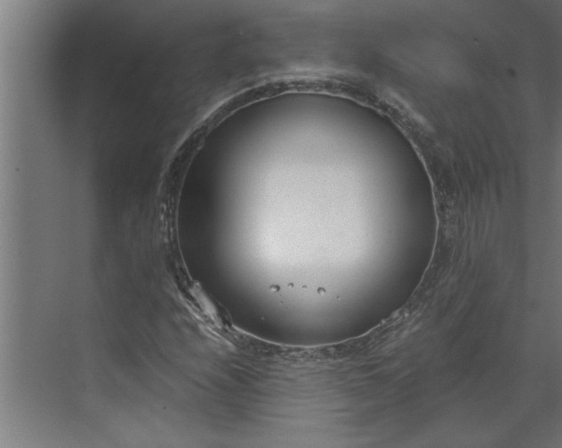 X0000073921208200608251540