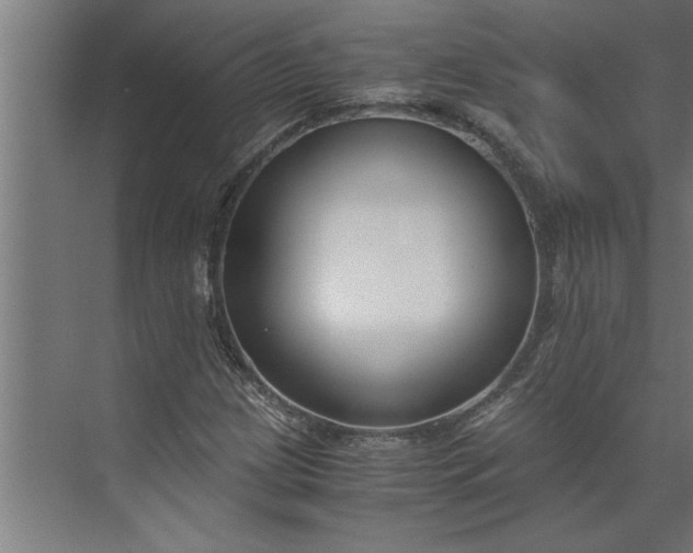 X0000073921209200608251540