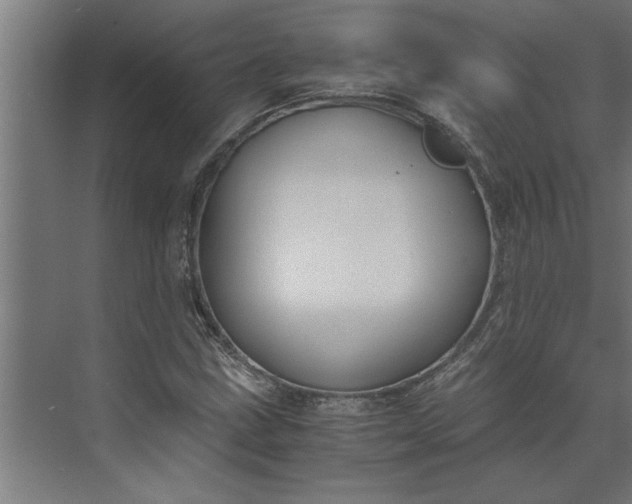 X0000073921211200608251540