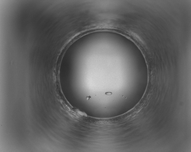 X0000073921212200608251540