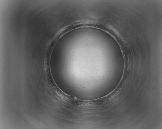 X0000073921213200608251540