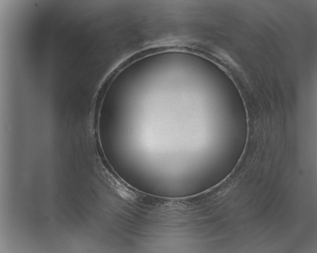 X0000073921216200608251540