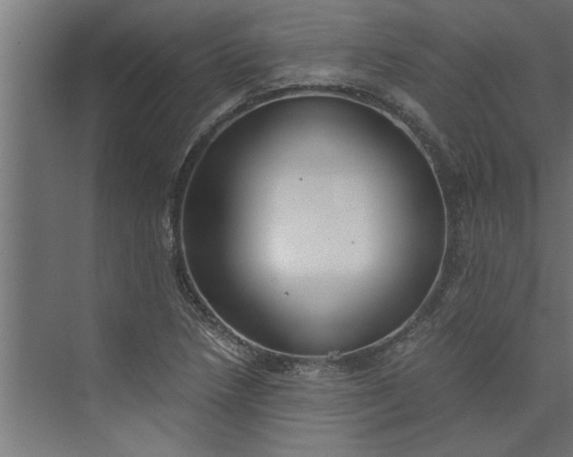 X0000073921218200608251541