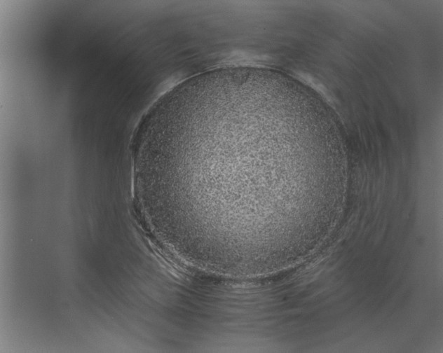 X0000073921219200608251541