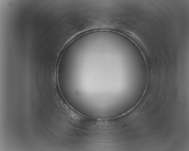 X0000073921220200608251541