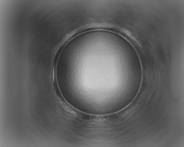 X0000073921221200608251541