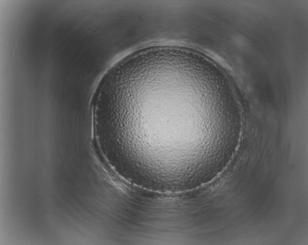 X0000073921223200608251541