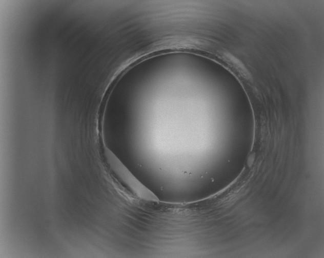 X0000073921226200608251541