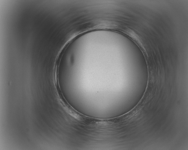 X0000073921227200608251541