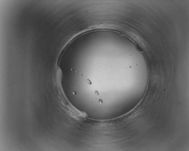 X0000073921228200608251541