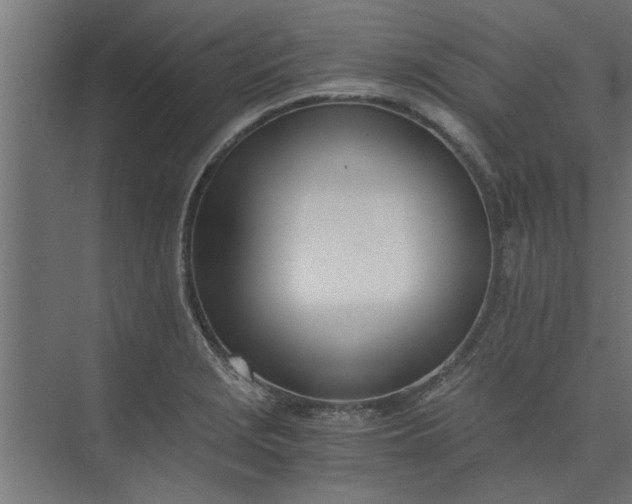 X0000073921229200608251541