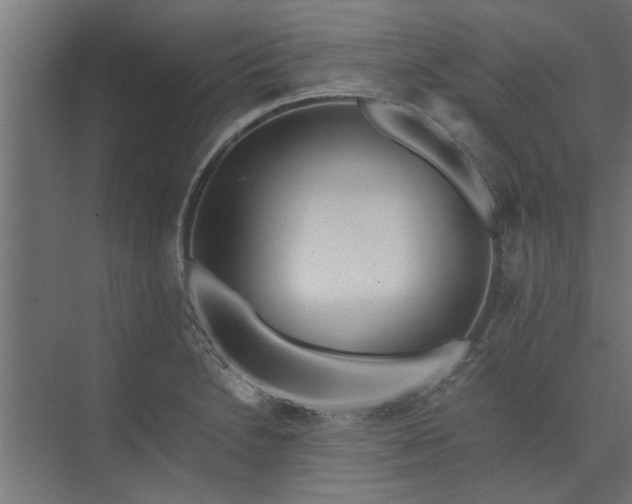 X0000073921230200608251541