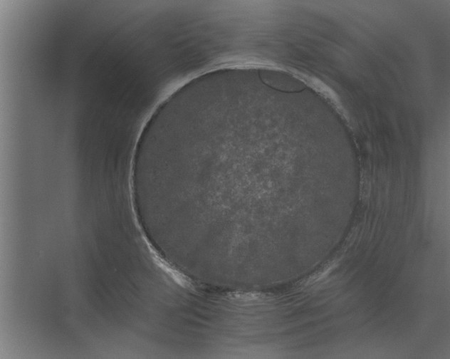 X0000073921231200608251541