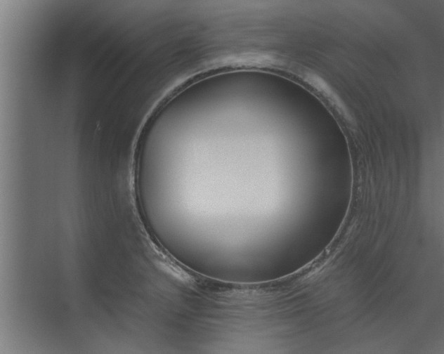 X0000073921232200608251541