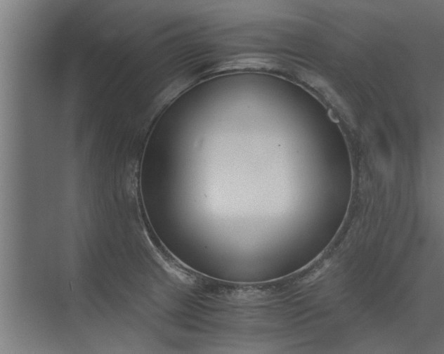 X0000073921233200608251541