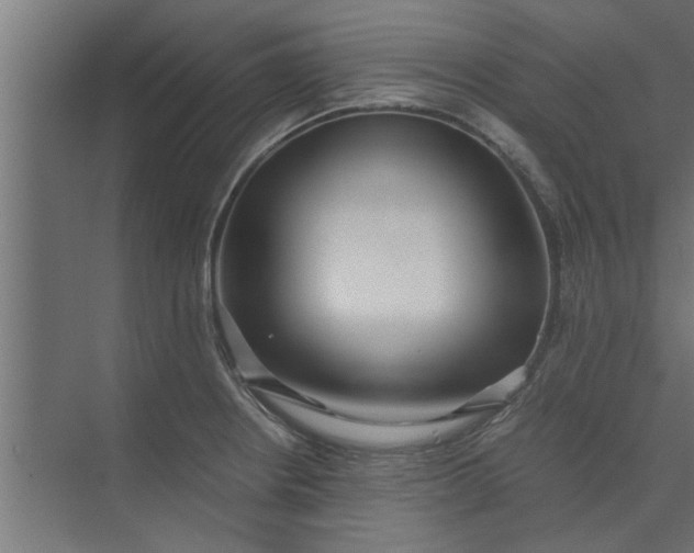 X0000073921234200608251541