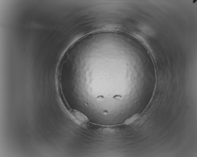 X0000073921235200608251541