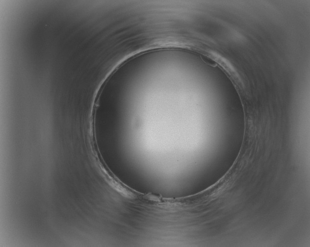 X0000073921236200608251541