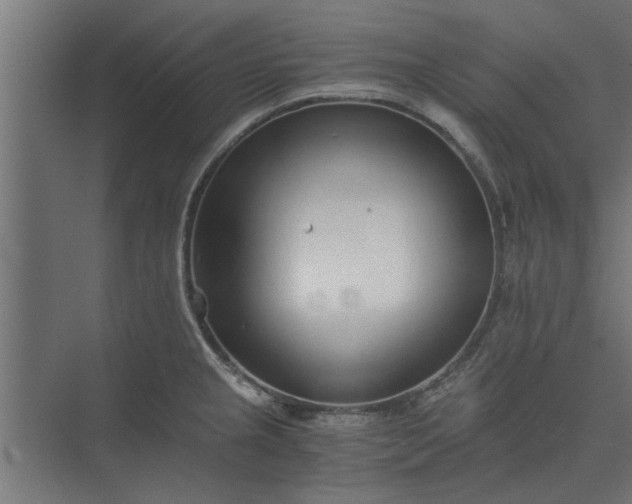 X0000073921237200608251541