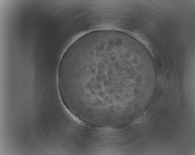 X0000073921239200608251541