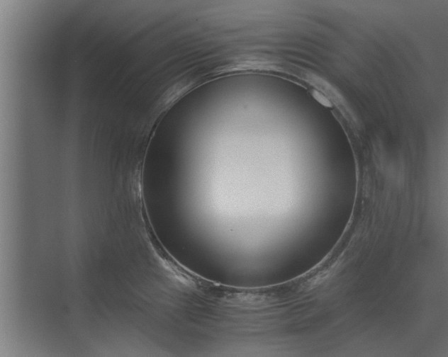 X0000073921241200608251541