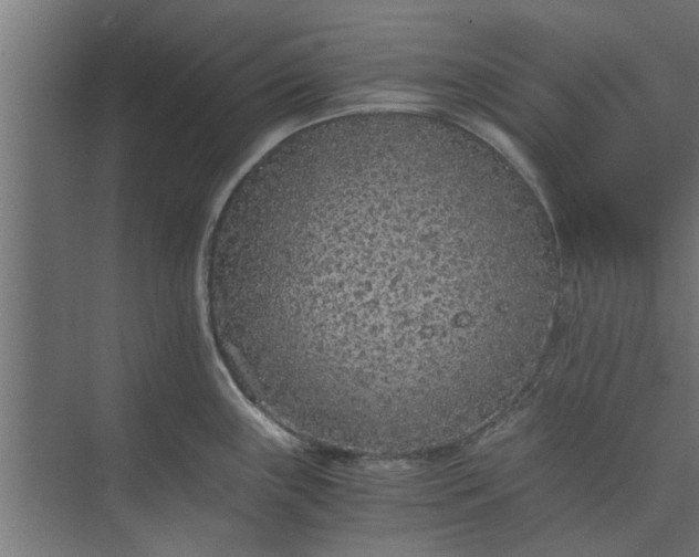 X0000073921243200608251541