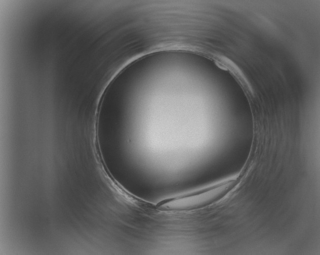 X0000073921244200608251541