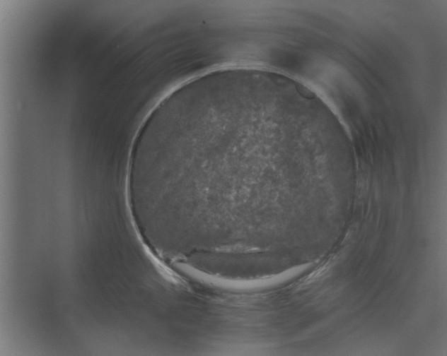 X0000073921245200608251541