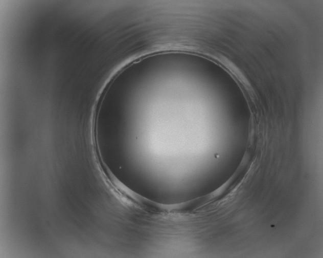 X0000073921246200608251541