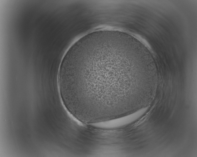 X0000073921247200608251541