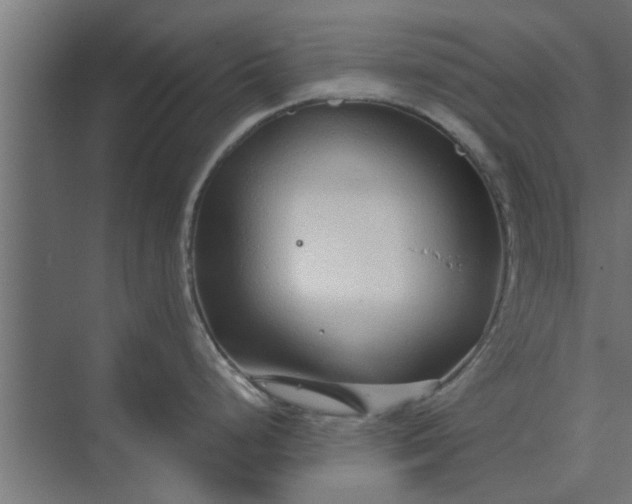 X0000073921248200608251541