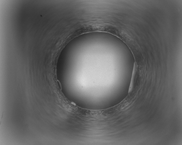 X0000073921249200608251540