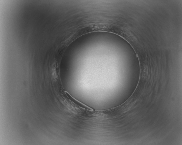 X0000073921250200608251540