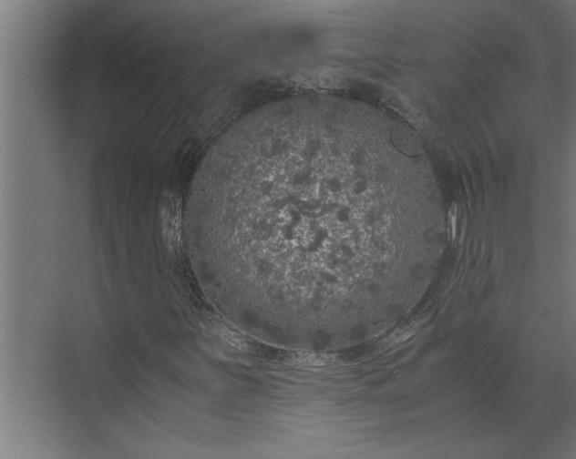 X0000073921251200608251540