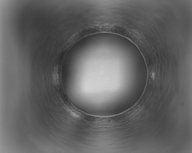 X0000073921252200608251540